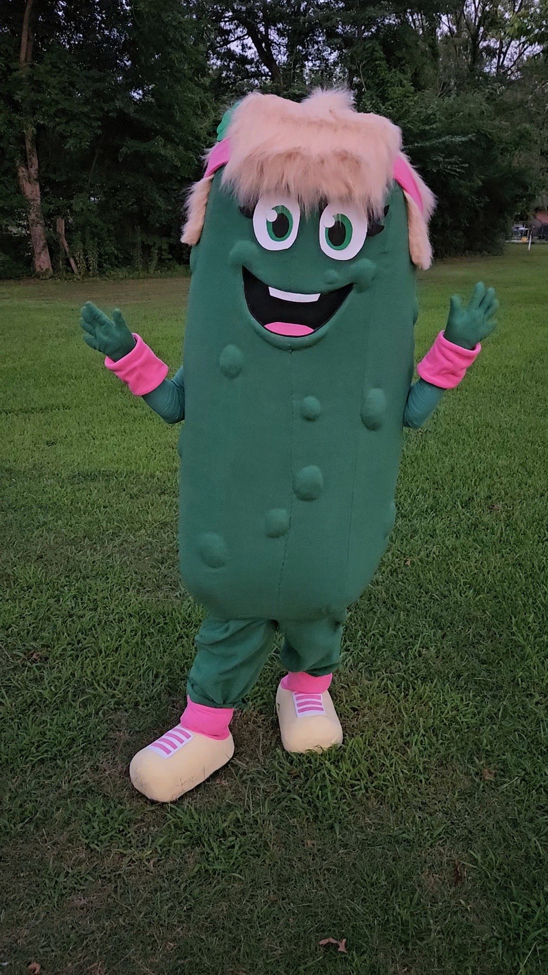 Paddy the Pickle